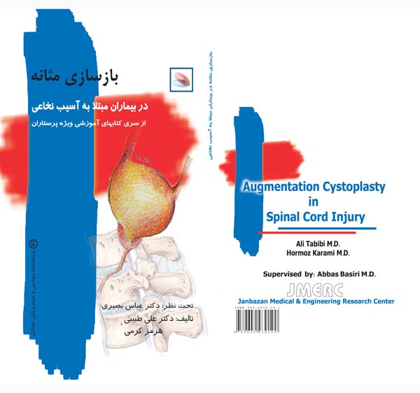 augmentation cystoplasty